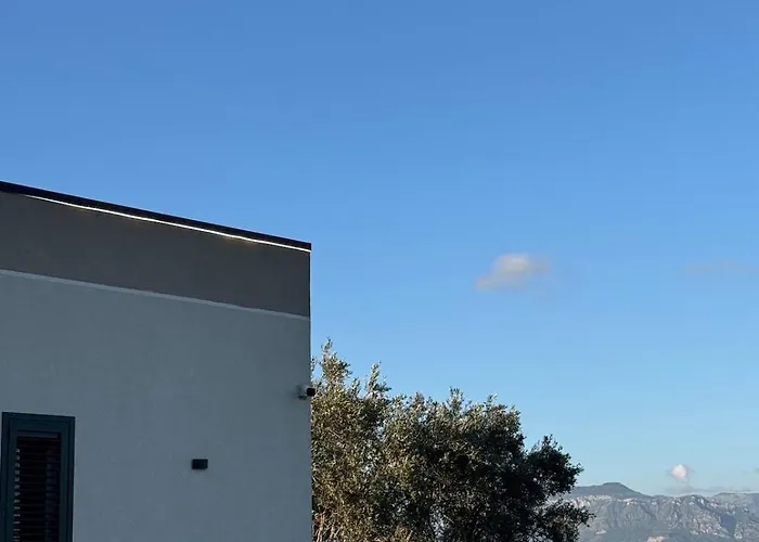 The Vila Tirana